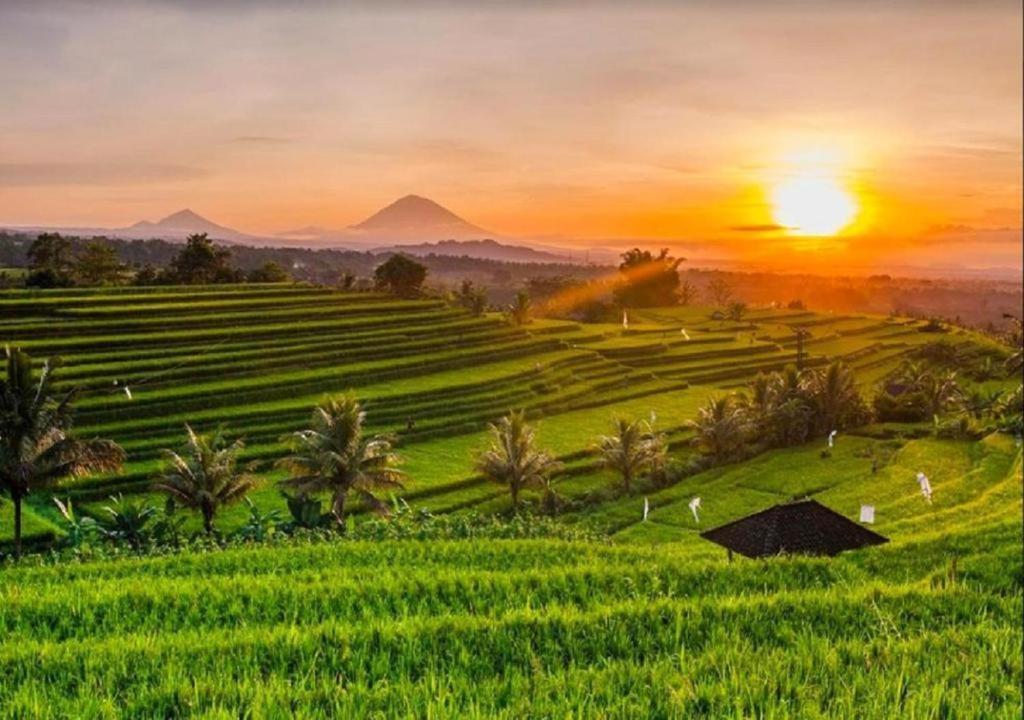 Luxenomads Tanah Lot Oceanview Escape Βίλα Selemadeg Εξωτερικό φωτογραφία