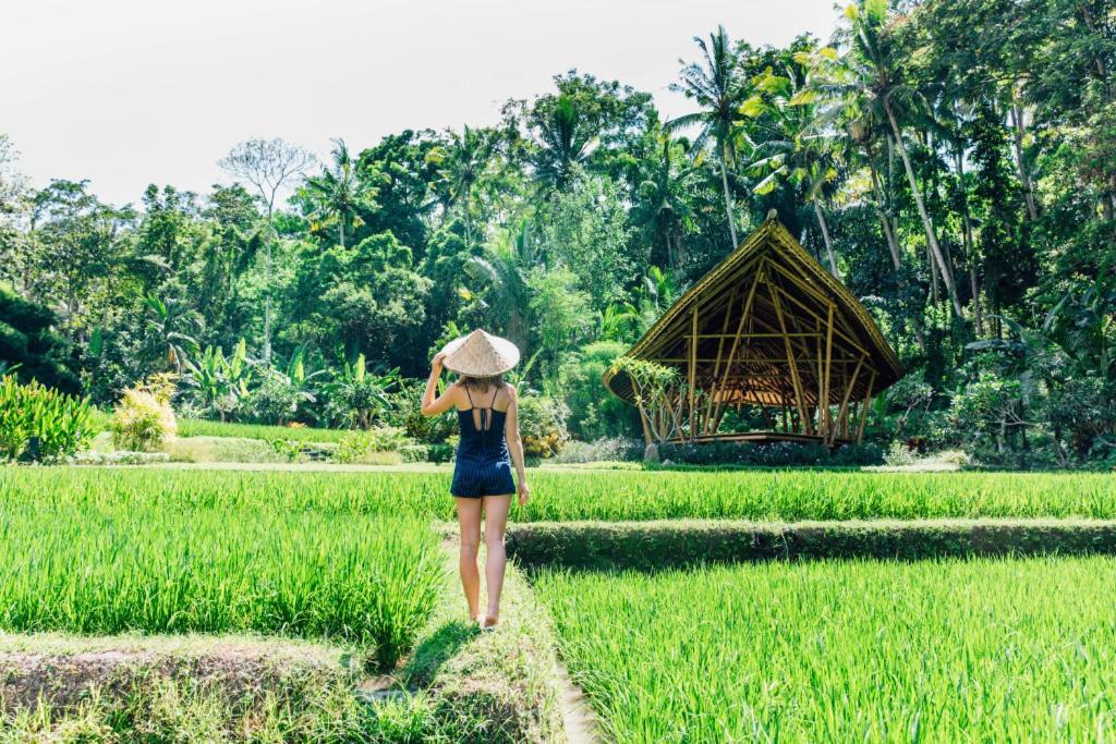 Luxenomads Tanah Lot Oceanview Escape Βίλα Selemadeg Εξωτερικό φωτογραφία